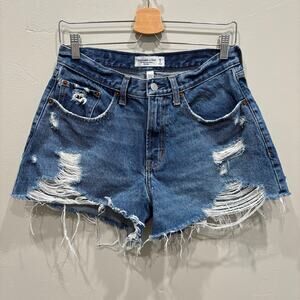 Abercrombie & Fitch Curve Love Mid Rise The Boyfriend Shorts Blue - Size: 6 / 28
